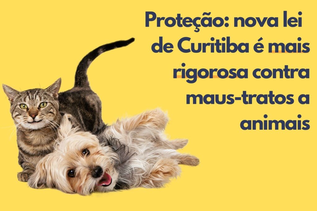 Curitiba Tem Nova Lei, Mais Rigorosa Contra Os Maus Tratos A Animais 