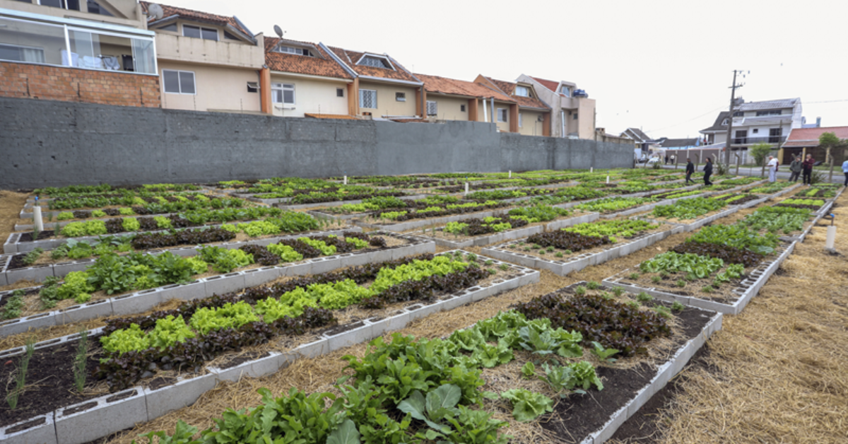Alto Boqueirão recebe Horta Comunitária Campo Belo com 1700m²