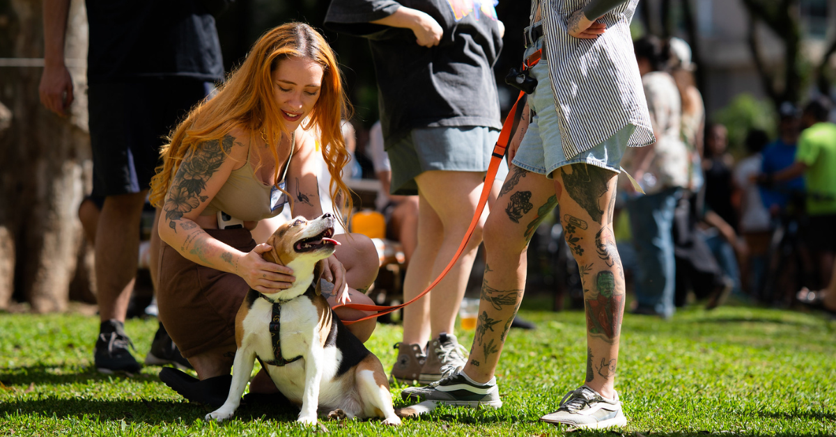 Curitiba avança na atualização das normas para circulação de cães em espaços públicos