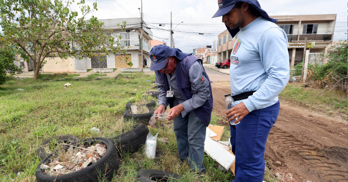 Casos de dengue caem 94% em Curitiba em 2026